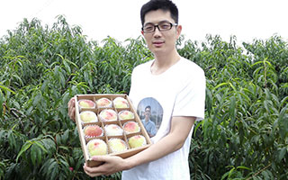 乐虎88国际设计和蜜桃哥走过了三年·····