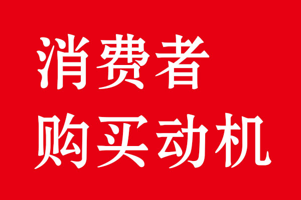 消费者购买动机分析·乐虎88国际品牌策划设计