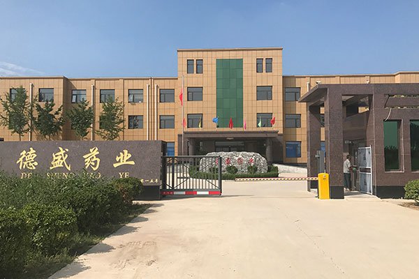 乐虎88国际设计再次携手德盛药业